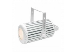 Elation Colour Pendant WH Прожектор LED, 36 х 3W, RGBW